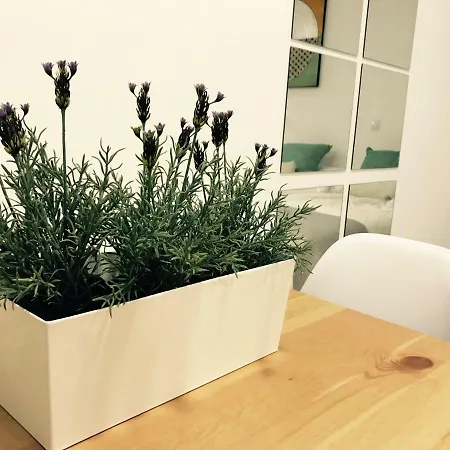 Estudio Paseo Canteras * Las Palmas