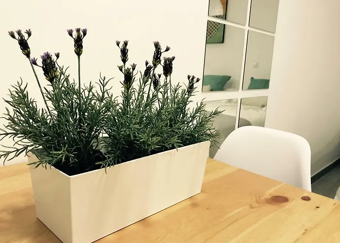 Estudio Paseo Canteras * Лас-Пальмас-де-Гран-Канарія